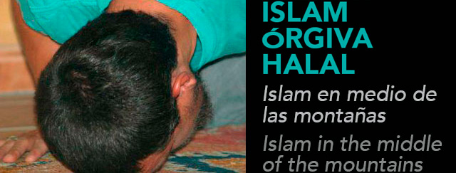 Islam Órgija Halal